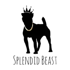Splendid Beast Promo Code