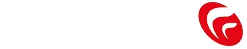 Stetsom Store USA Promo Code