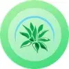 Succulent Market Promo Code