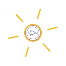 Sunfran Promo Code