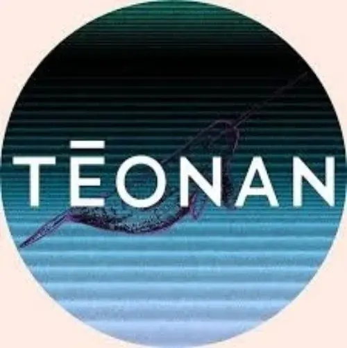 TEONAN Promo Code