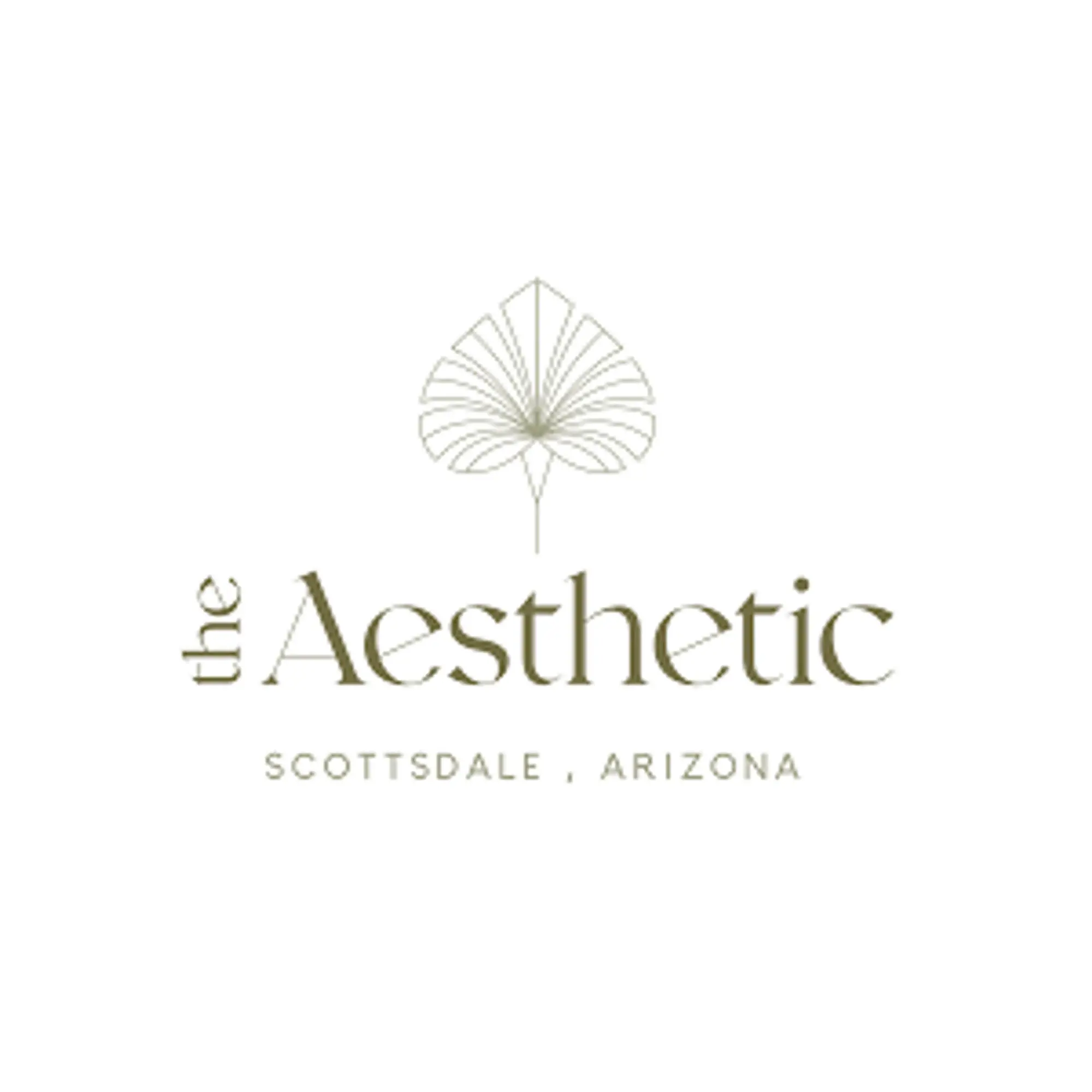 The Aesthetic Promo Code
