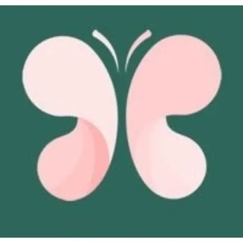 The Butterfly Maternity Pillow Promo Code