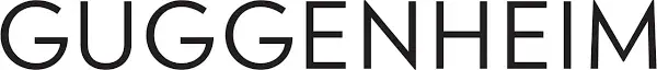 The Guggenheim Museums and Foundation Promo Code