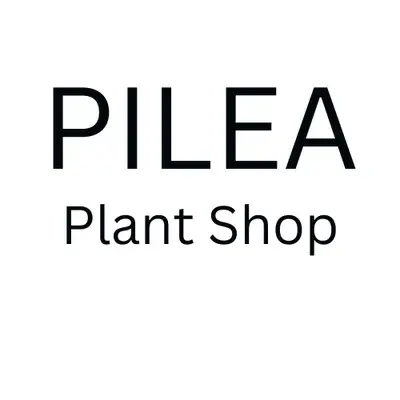 The Pilea Plant Shop Promo Code