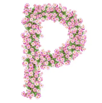 The Pink Reef Promo Code
