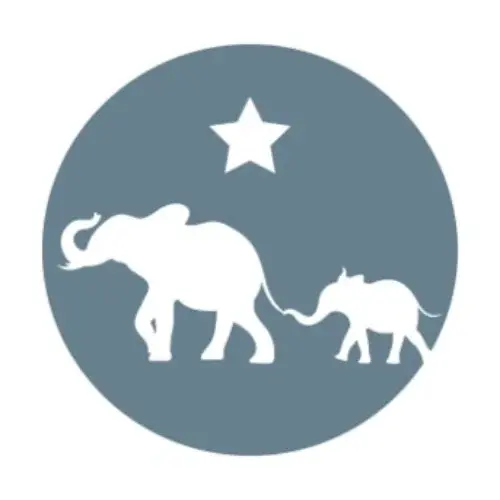 The Wishing Elephant Promo Code