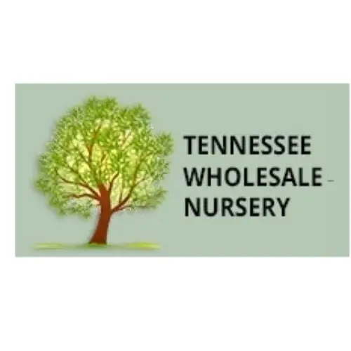 Tn Nursery Promo Code