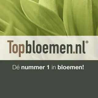 Topbloemen.nl Promo Code