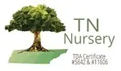 Trees For Sale Online Promo Code