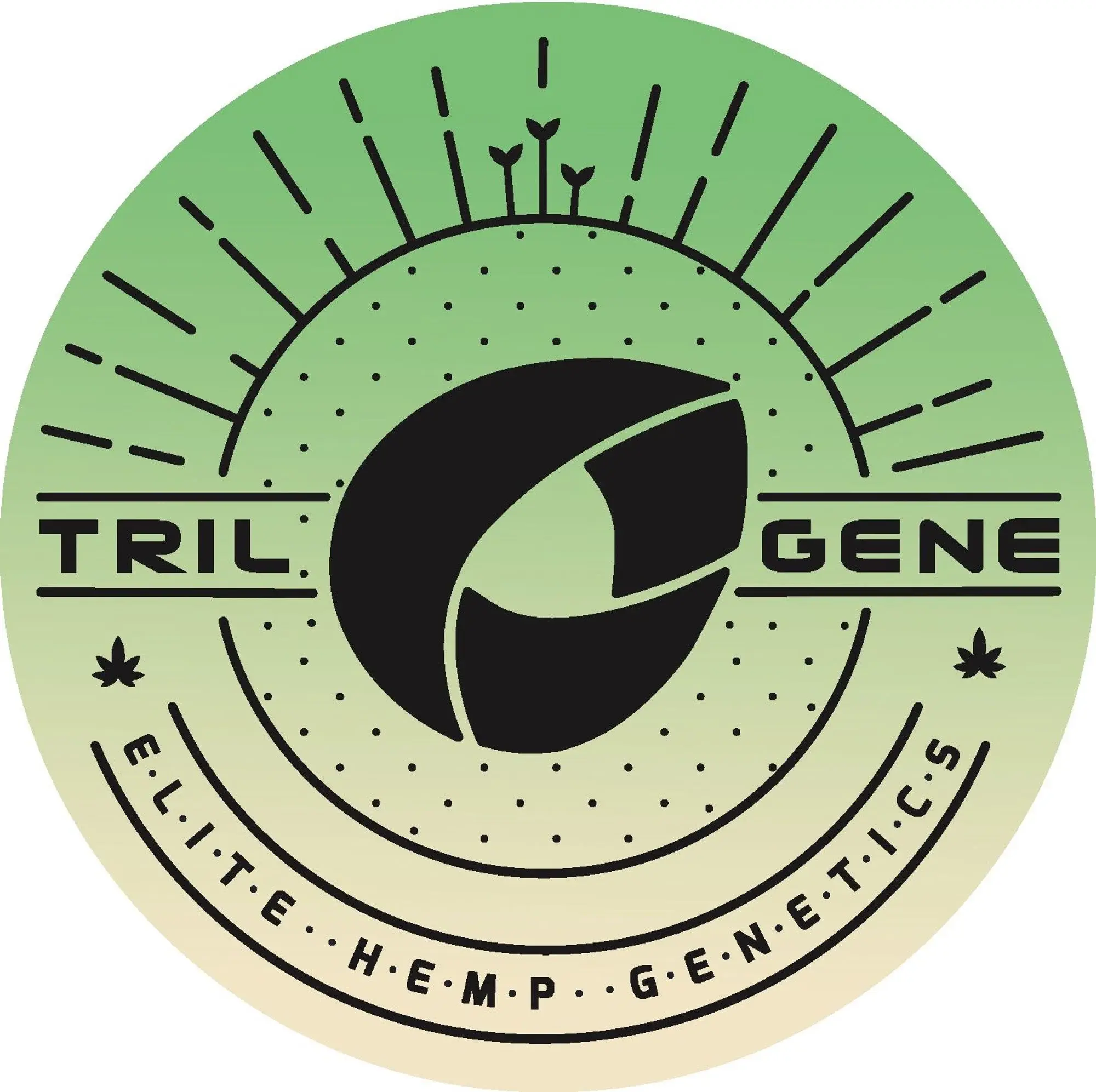 Trilogene Seeds Promo Code