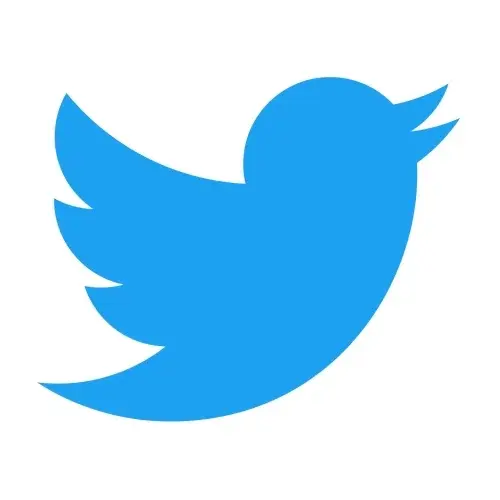 Twitter Promo Code