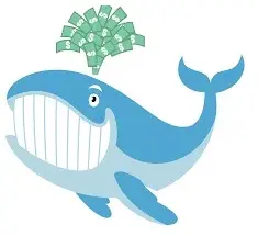 Unusual Whales Promo Code