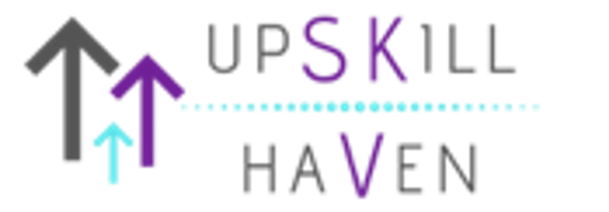 Upskill Haven Promo Code