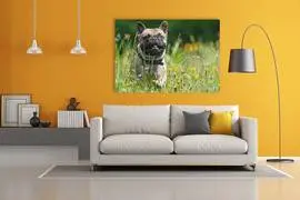 Uwfotocadeau NL Promo Code