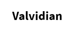 Valvidian Promo Code