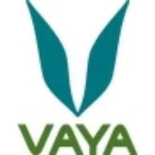 Vaya Promo Code