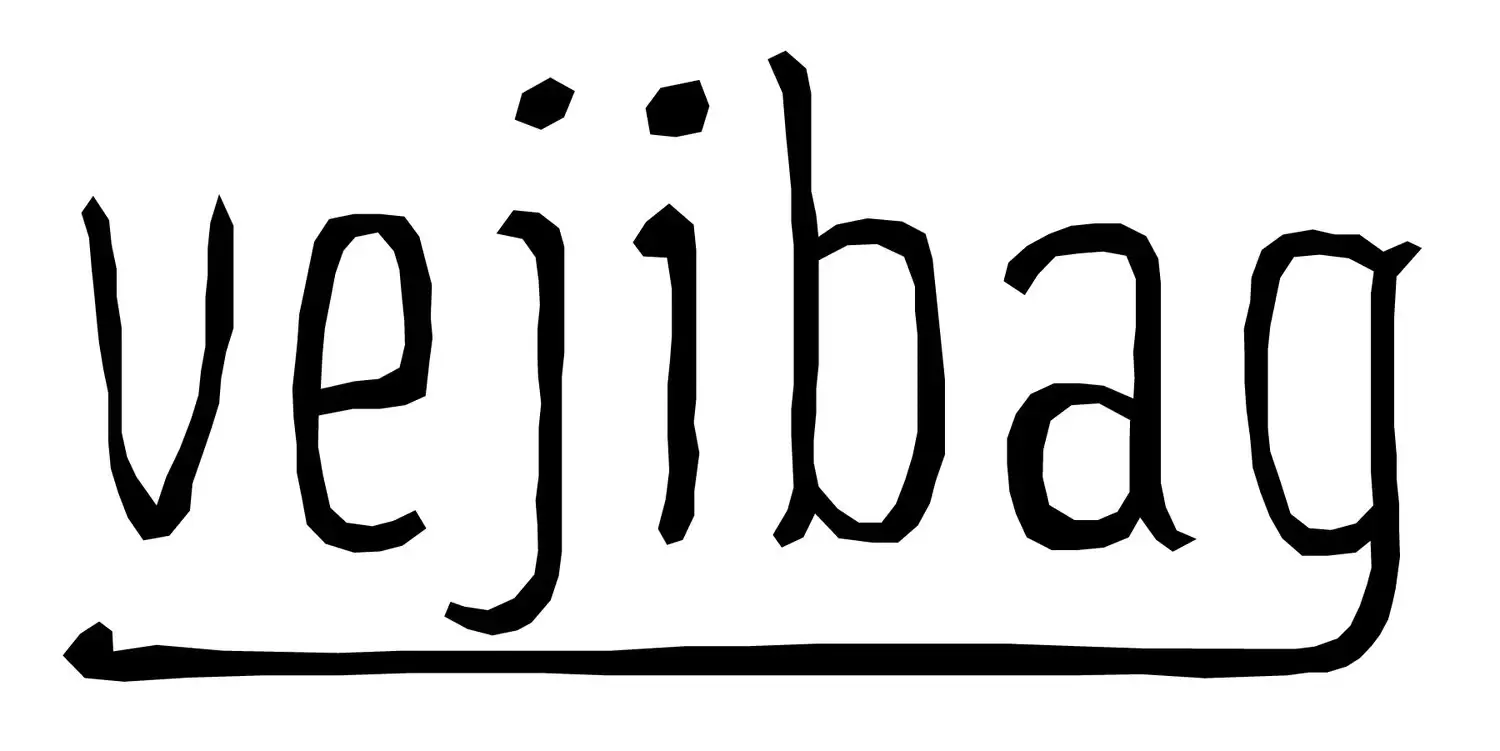 Vejibag Promo Code