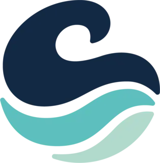 Wave Case Promo Code