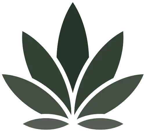 CBD & Hemp Products | webelieve DE Promo Code