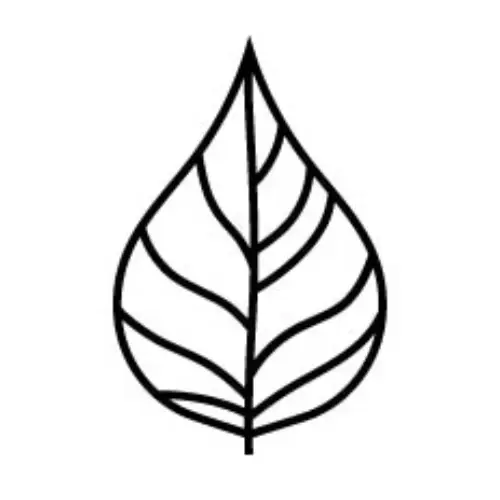 White and Elm Promo Code