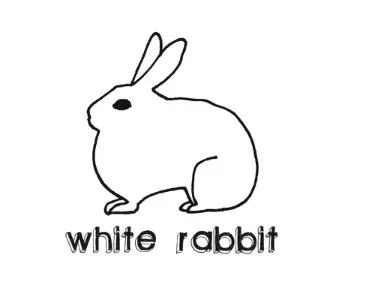White Rabbit Shop Promo Code