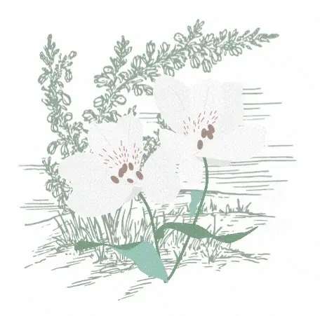 Wild Natural Living Promo Code