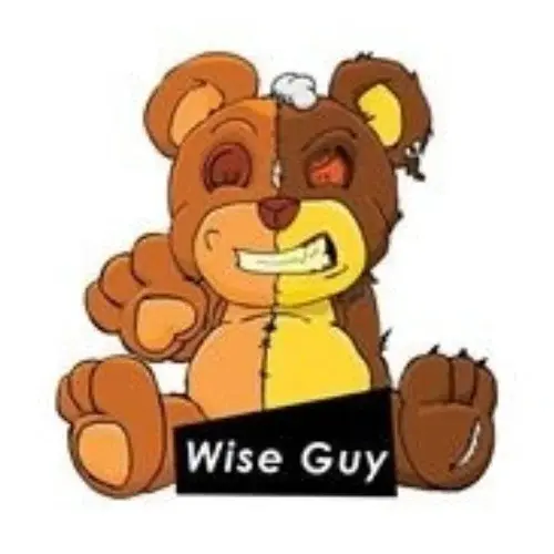 Wise Guy Promo Code