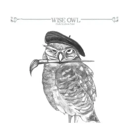 Wise Owl Paint Promo Code