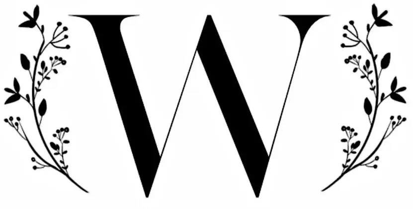 Wynterology Promo Code