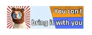You can't bring it with you Promo Code
