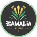 Zamalia Experience NL Promo Code