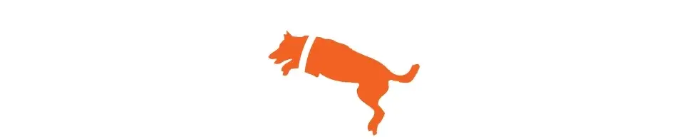 Zoom Room Dog Training Promo Code